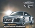 /album/fotogaleria/audi-cubre-car-jpg1/
